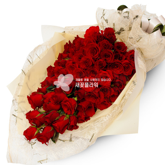 내사랑을담아(100송이)-2