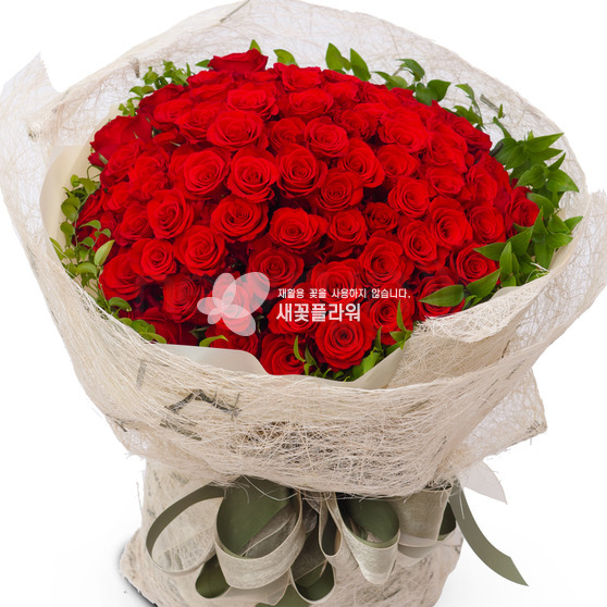 내사랑을담아(100송이)-1