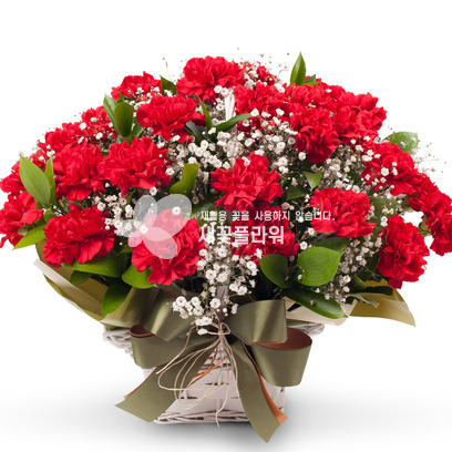 선생님사랑(카네이션)