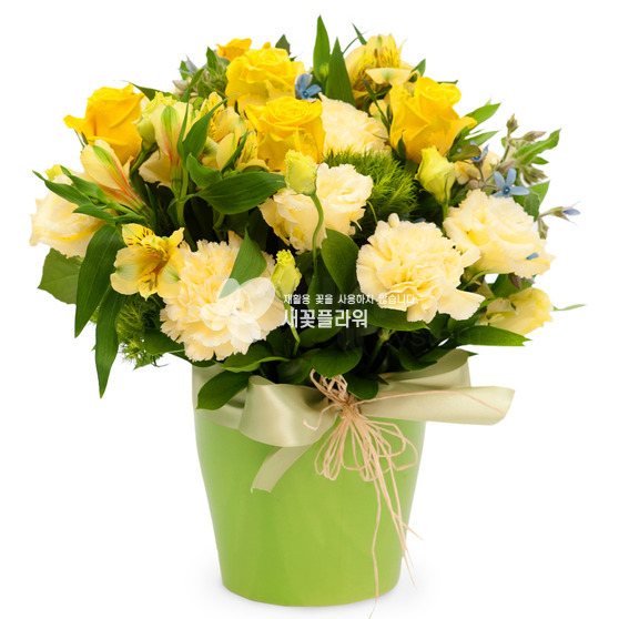 화병디자인_노랑