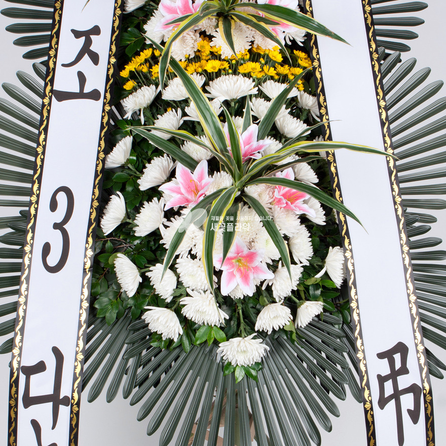 상세이미지