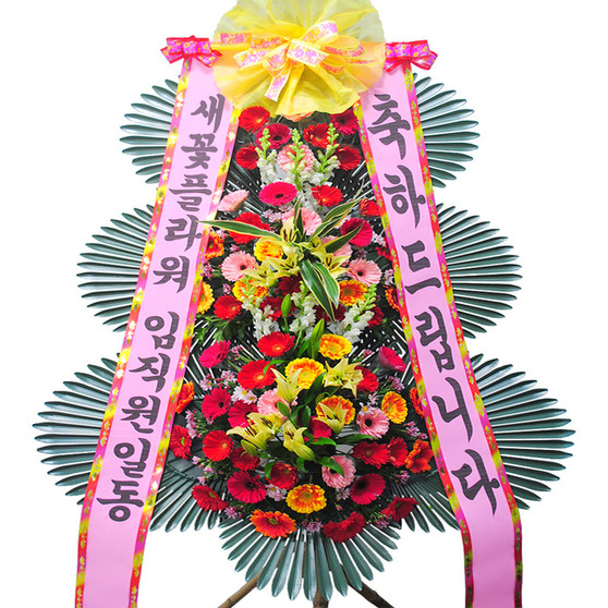 ★MD추천★축하4
