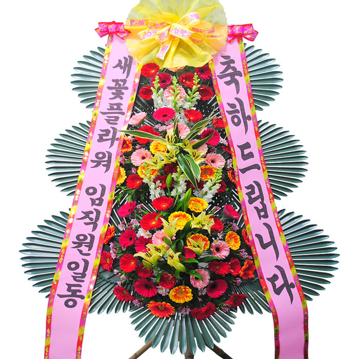 상세이미지