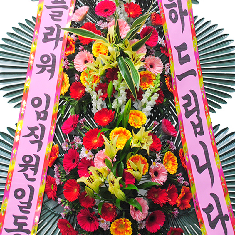 상세이미지
