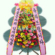 축하1