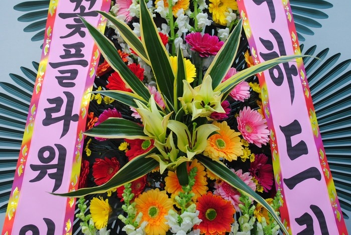 상세이미지