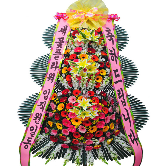 축하신상6