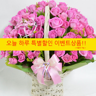 고급핑크장미100송이